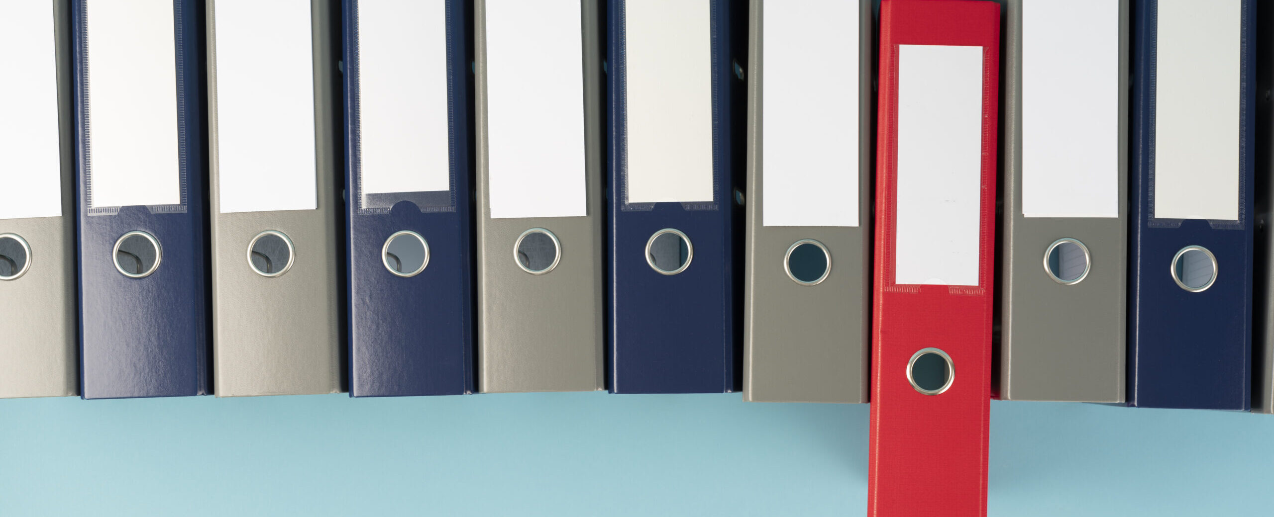 Effektives Wissensmanagement für Unternehmen