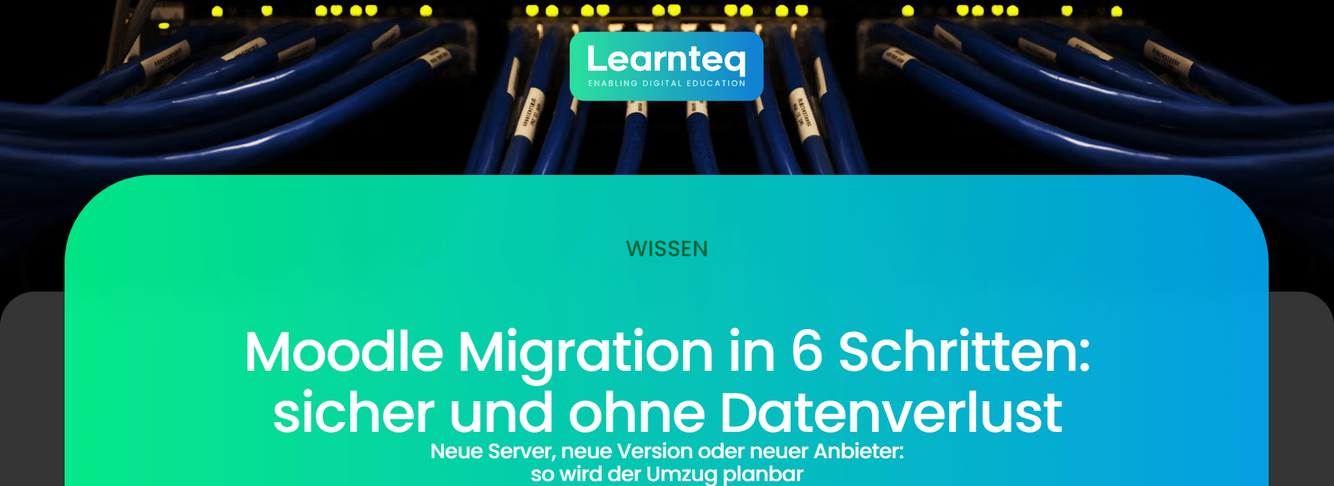 Moodle Migration: Netzwerkkabel in einem Serverschrank