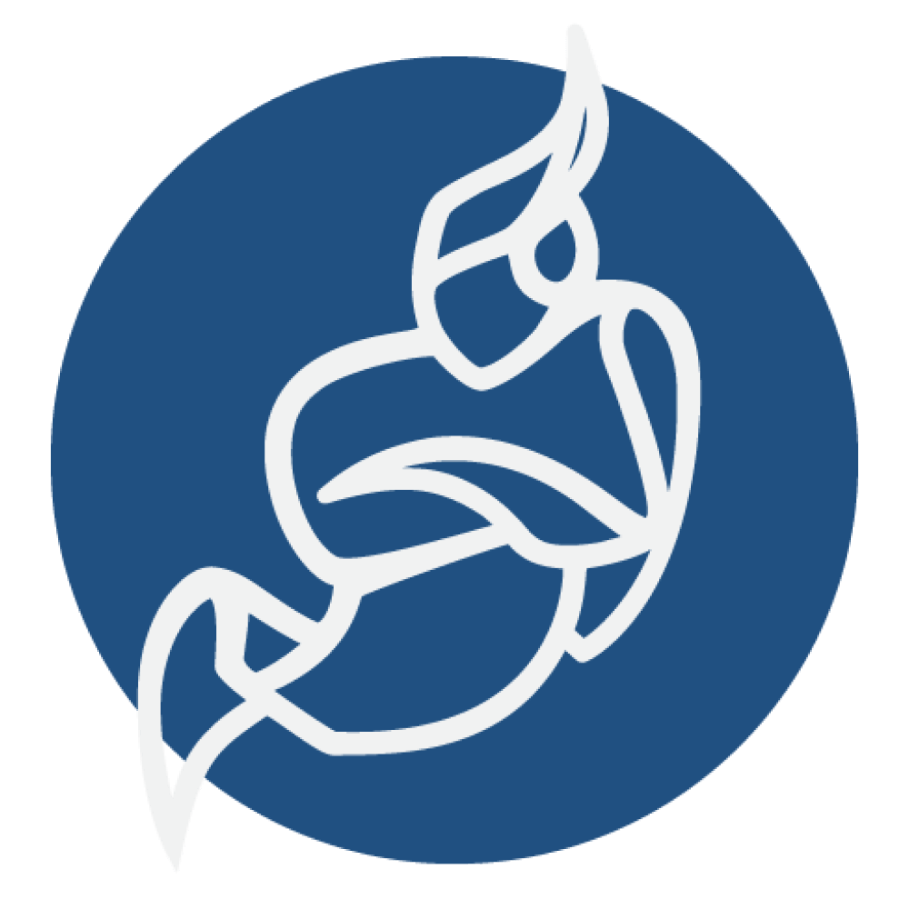 Jitsi Meet Logo